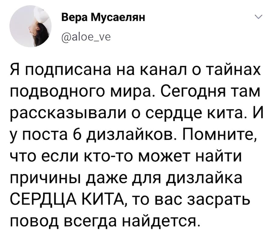 Я подписана на канал о тайнах подводного мира. Сегодня там рассказывали о сердце кита. И у поста 6 дизлайков. Помните, что если кто-то может найти причины даже для дизлайка СЕРДЦА КИТА, то вас засрать повод всегда найдётся.