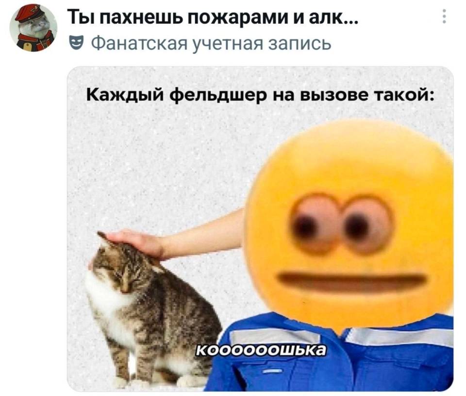Каждый фельдшер на вызове такой: Коооошка... | Медицина