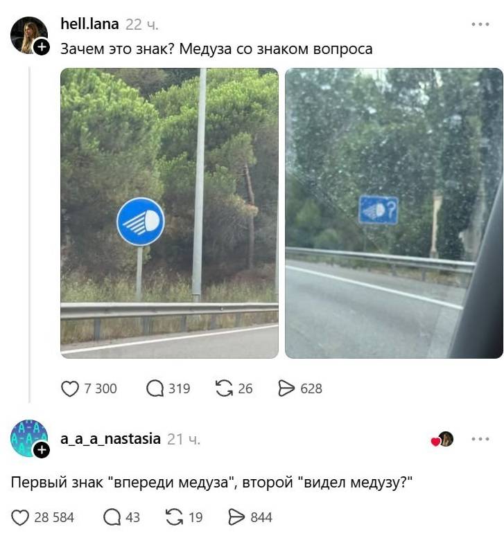 – Зачем это знак? Медуза со знаком вопроса.
– Первый знак «впереди медуза», второй «видел медузу?».