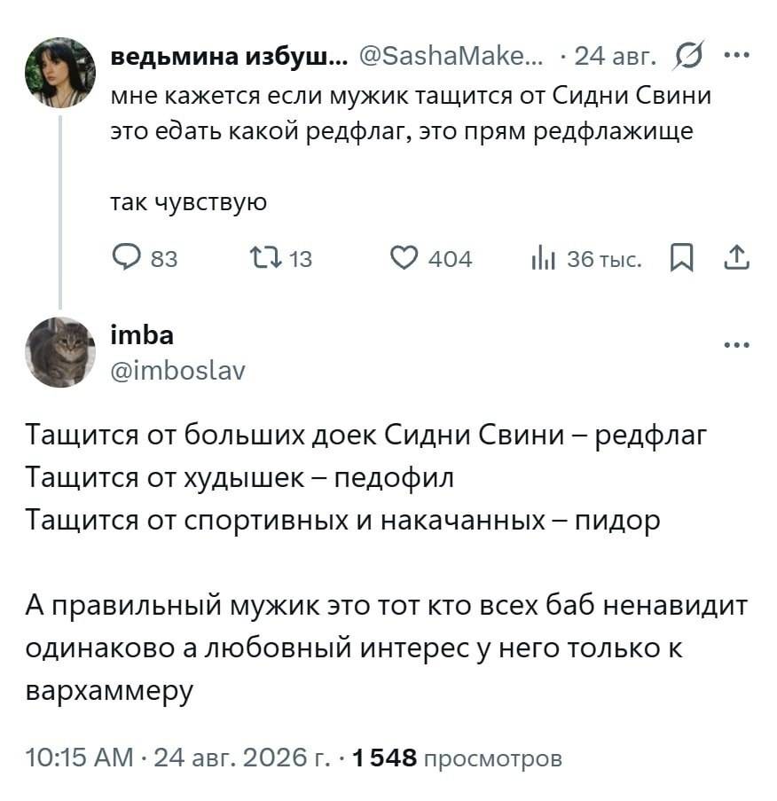 – Мне кажется если мужик тащится от Сидни Свини это еб*ть какой редфлаг, это прям редфлажище так чувствую.
– Тащится от больших доек Сидни Свини — редфлаг; Тащится от худышек — педофил; Тащится от спортивных и накачанных у— пидор; А правильный мужик это тот кто всех баб ненавидит; одинаково а любовный интерес у него только к вархаммеру.