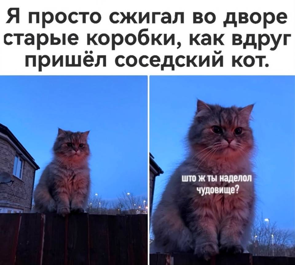 Я просто сжигал во дворе старые коробки, как вдруг пришёл соседский кот.
– Штож ты наделол чудовище!
