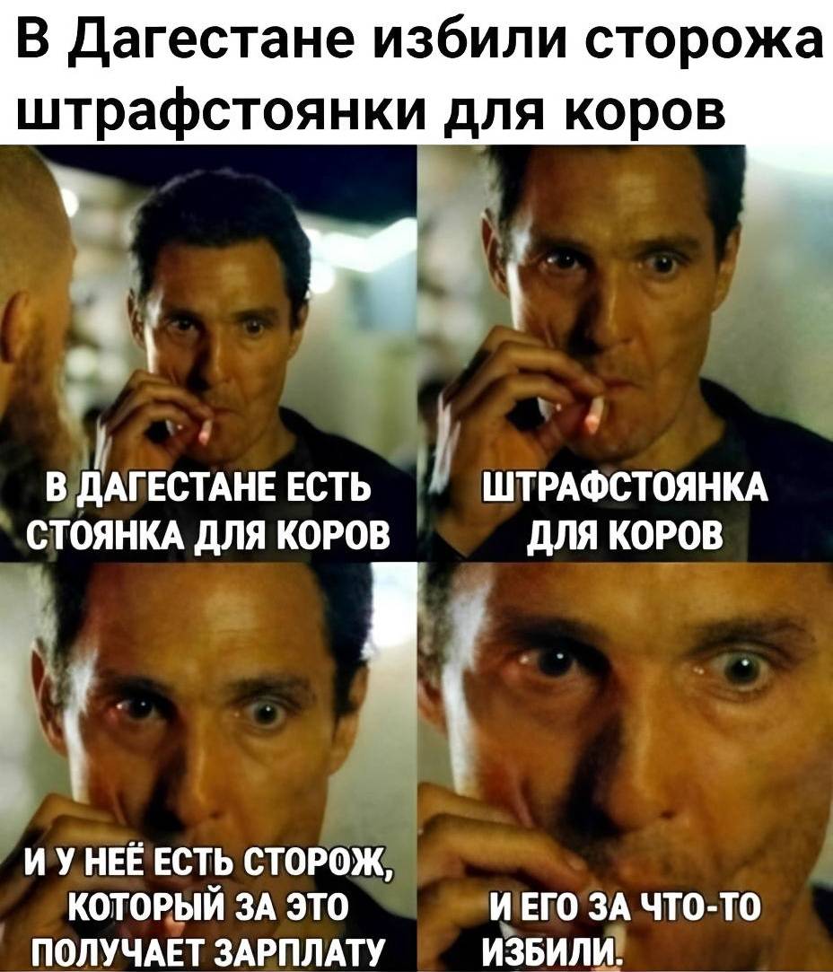 В Дагестане избили сторожа штрафстоянки для коров
> В Дагестане есть стоянка для коров
> Штрафстоянка для коров
> И у ней есть сторож, который за это получает зарплату
> И его за что-то избили