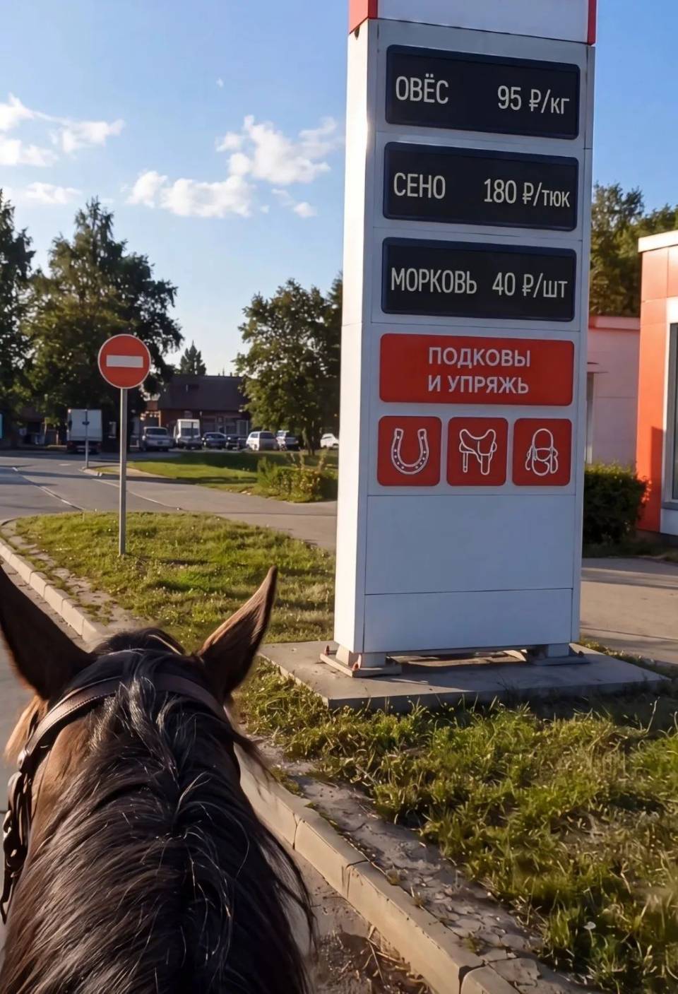 ОВЁС
СЕНО
МОРКОВЬ
ПОДКОВЫ И УПРЯЖЬ

llO Р/кг CEHO lво A | об . v з L [ e аИ З ЗЫ – Э 4 – Z ПОДКОВЫ оа, Г—) O RS . by 5 я р Р K i l, . E =] = e {:(L? i\ i а ш — 5 = ч o : | ey ВОН S Еа S e, —- ъ :А ;;:. z:; , / 5 Vi ЧЗ Л [ __\ ,.: с — = ST — э е — | W S A e TNy и TR T e 2 аао QSRR . e е и Y ek RS R S 2 ТЕ7 и зи— ае иа [ v N 5 B st l МА | / A AT VNG NS O MR\ Y \ М N SR =N / Л LT \ :l —; N, A o ы J //; \ l й ь Y / // /7l в