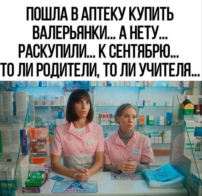 Пошла в аптеку купить валерьянки... а нету... раскупили... к сентябрю... то ли родители, то ли учителя...
