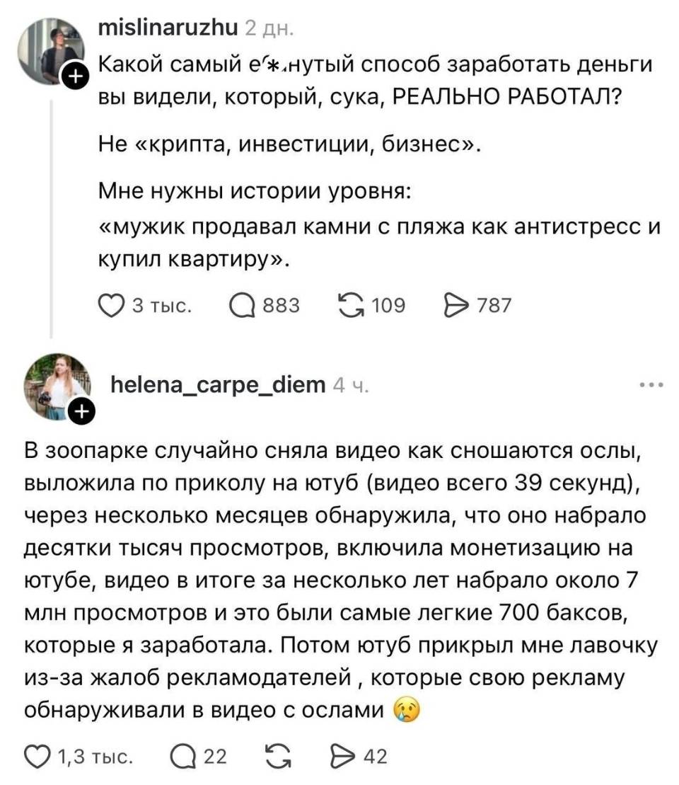– Какой самый е**нутый способ заработать деньги вы видели, который, сука, РЕАЛЬНО РАБОТАЛ? Не «крипта, инвестиции, бизнес». Мне нужны истории уровня: «мужик продавал камни с пляжа как антистресс и купил квартиру».
– В зоопарке случайно сняла видео как сношаются ослы, выложила по приколу на ютуб (видео всего з9 секунд), через несколько месяцев обнаружила, что оно набрало десятки тысяч просмотров, включила монетизацию на ютубе, видео в итоге за несколько лет набрало около 7 млн просмотров и это были самые легкие 700 баксов, которые я заработала. Потом ютуб прикрыл мне лавочку из-за жалоб рекламодателей которые свою рекламу обнаруживали в видео с ослами. | Интернет