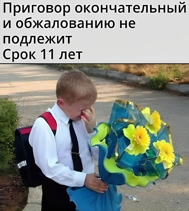 Приговор окончательный и обжалованию не подлежит.
Срок 11 лет.
