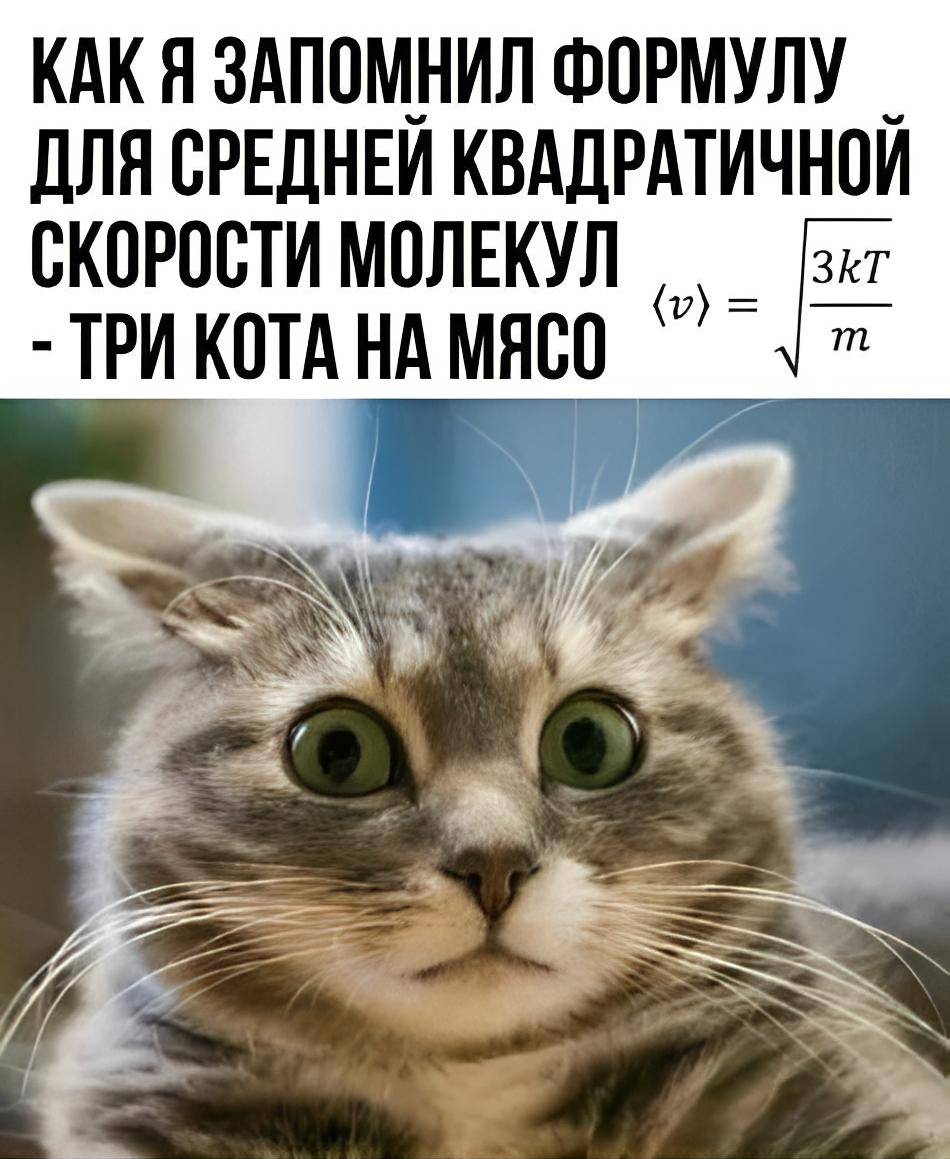 КАК Я ЗАПОМНИЛ ФОРМУЛУ ДЛЯ СРЕДНЕЙ КВАДРАТИЧНОЙ СКОРОСТИ МОЛЕКУЛ – ТРИ КОТА НА МЯСО.
