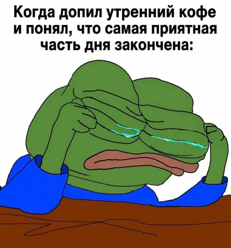 Когда допил утренний кофе и понял, что самая приятная часть дня закончена: *Слёзы*