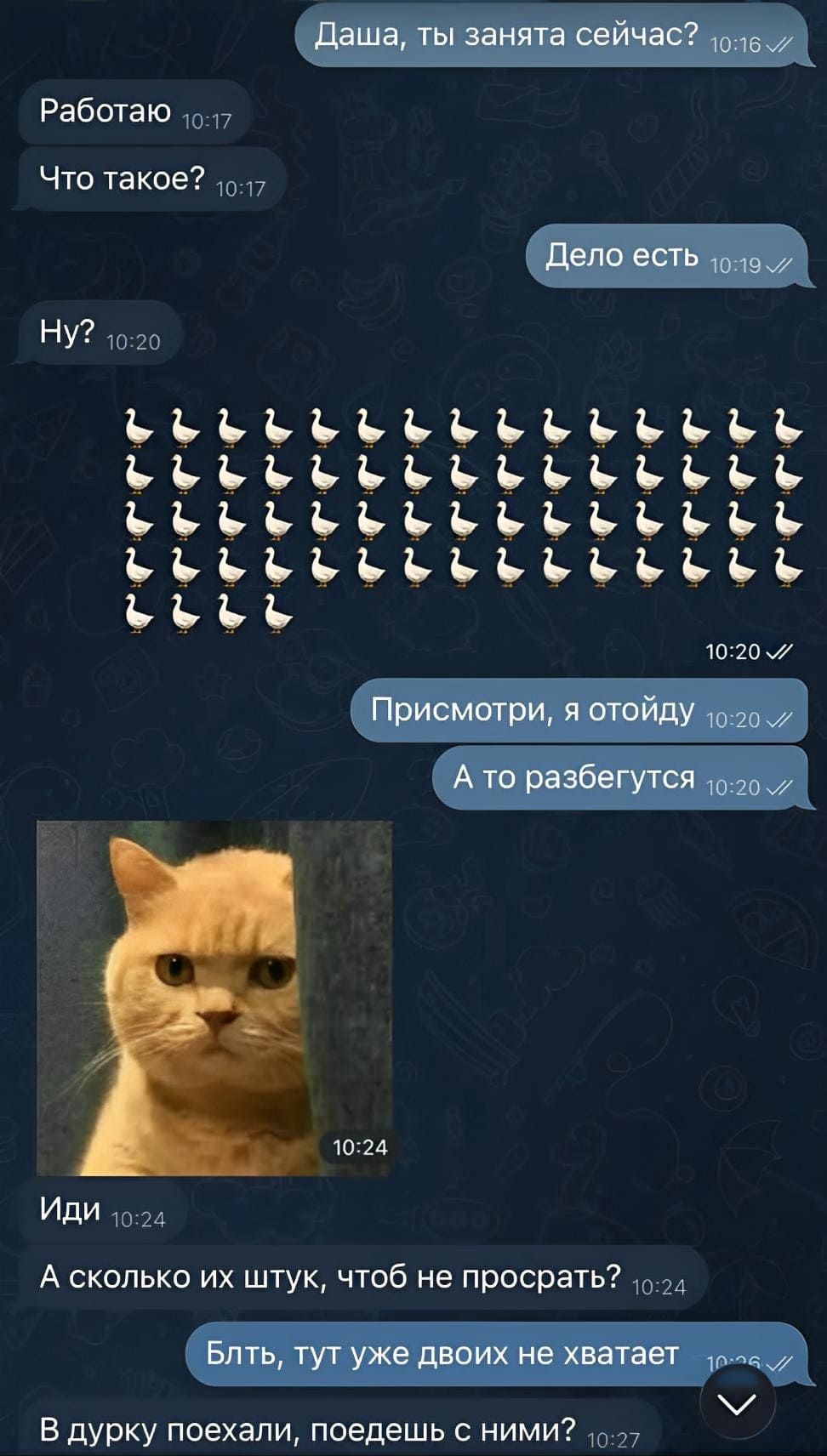 – Даша, ты занята сейчас?
– Работаю. Что такое?
– Дело есть. Ну?
– Присмотри (за гусями), я отойду. А то разбегутся.
– Иди. А сколько их штук, чтоб не просрать?
– Бл*ть, тут уже двоих не хватает.
– В дурку поехали, поедешь с ними?