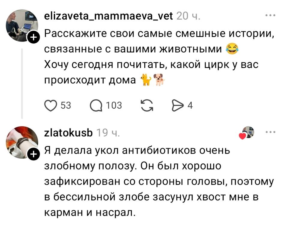 – Расскажите свои самые смешные истории, связанные с вашими животными. Хочу сегодня почитать, какой цирк у вас происходит дома.
– Я делала укол антибиотиков очень злобному полозу. Он был хорошо зафиксирован со стороны головы, поэтому в бессильной злобе засунул хвост мне в карман и насрал.