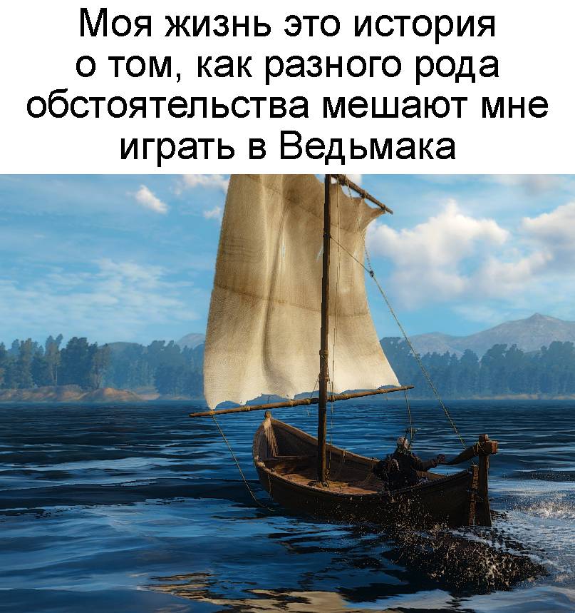 Моя жизнь — это история о том, как разного рода обстоятельства мешают мне играть в Ведьмака.