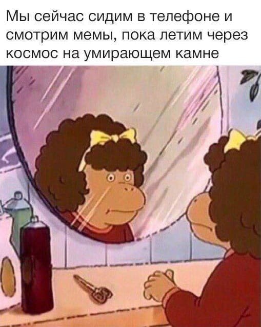 Мы сейчас сидим в телефоне и смотрим мемы, пока летим через космос на умирающем камне.