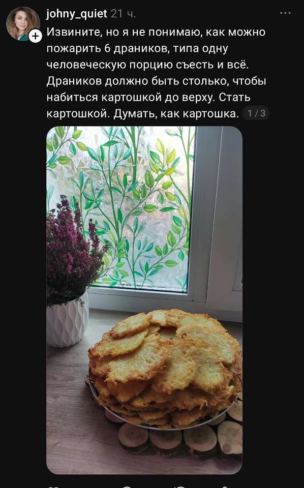 Извините, но я не понимаю, как можно пожарить 6 драников, типа одну человеческую порцию съесть и всё.
Драников должно быть столько, чтобы набиться картошкой до верху.
Стать картошкой.
Думать, как картошка.
*(Под текстом — фото: внушительная гора золотистых драников на тарелке, рядом горшок с вереском и окно с витражной плёнкой в виде зелёных листьев.)*