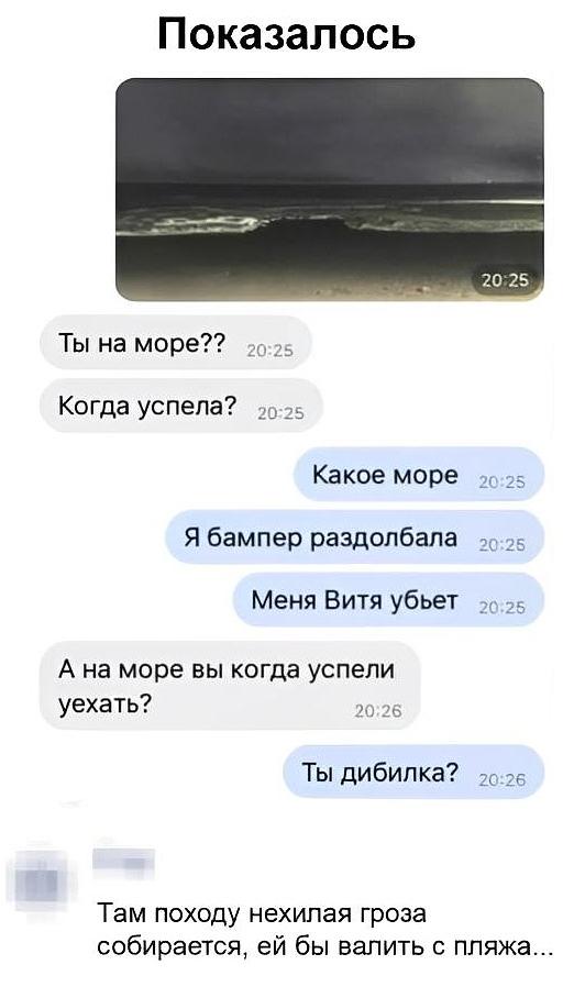 **Показалось**

*[в чат отправлено фото: тёмный штормовой берег, 20:25]*

💬 **Ты на море?** — 20:25
💬 **Когда успела?** — 20:25

🗨️ **Какое море** — 20:25
🗨️ **Я бампер раздолбала** — 20:25
🗨️ **Меня Витя убьет** — 20:25

💬 **А на море вы когда успели уехать?** — 20:26

🗨️ **Ты дибилка?** — 20:26

*Подпись под скриншотом:*
Там походу нехилая гроза собирается, ей бы валить с пляжа.