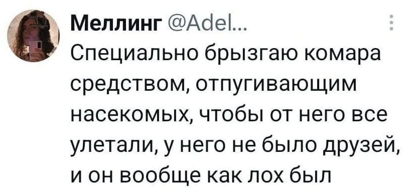 Специально брызгаю на комара средством, отпугивающим насекомых, чтобы от него все улетали, у него не было друзей и он вообще как лох был.