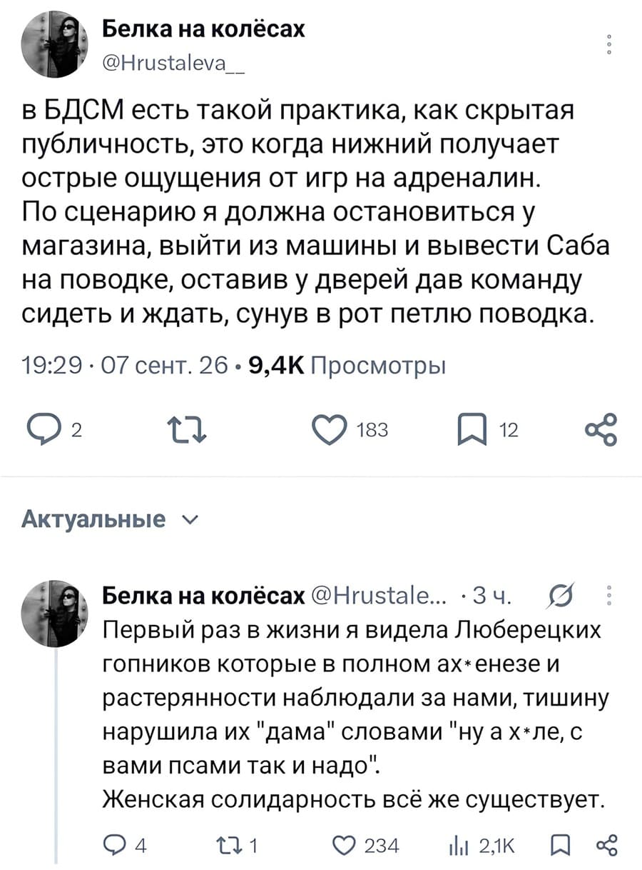 – В БДСМ есть такой практика, как скрытая публичность, это когда нижний получает острые ощущения от игр на адреналин. По сценарию я должна остановиться у магазина, выйти из машины и вывести Саба на поводке, оставив у дверей дав команду сидеть и ждать, сунув в рот петлю поводка.
– Первый раз в жизни я видела Люберецких гопников которые в полном ах*енезе и растерянности наблюдали за нами, тишину нарушила их «дама» словами «ну а х*ле, с вами псами так и надо». Женская солидарность всё же существует.