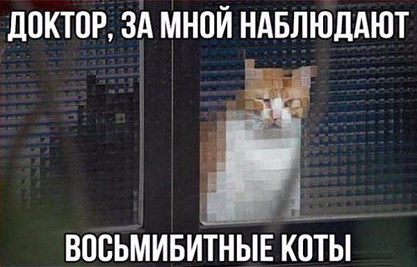 ДОКТОР, ЗА МНОЙ НАБЛЮДАЮТ
ВОСЬМИБИТНЫЕ КОТЫ

(Изображение: рыжий кот сидит на подоконнике за стеклом, но вся его фигура «рассыпана» на крупные квадратные пиксели — как спрайт из старой 8-битной игры. Огромные пиксельные глаза-квадратики пристально смотрят прямо в камеру, отчего кажется, будто он следит лично за тобой. За окном — тёмный вечерний город с решёткой окон, а сам кот сливается с сеткой пикселей настолько, что его морду приходится искать глазами. Подпись сверху и снизу добивают: это не кот, это камера наблюдения эпохи NES.)