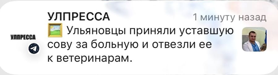 **УЛПРЕССА** — 1 минуту назад
🖼 Ульяновцы приняли уставшую сову за больную и отвезли её к ветеринарам.