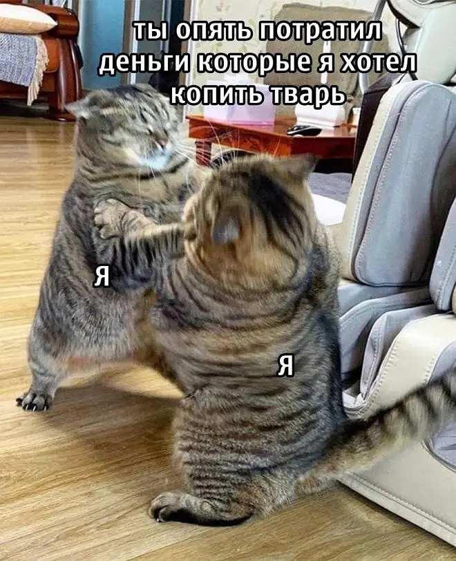 Ты опять потратил деньги которые я хотел копить тварь

Я (левый кот)
Я (правый кот)