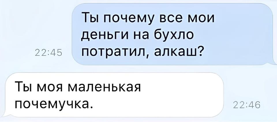 – Ты почему все мои деньги на бухло потратил, алкаш?
– Ты моя маленькая почемучка.