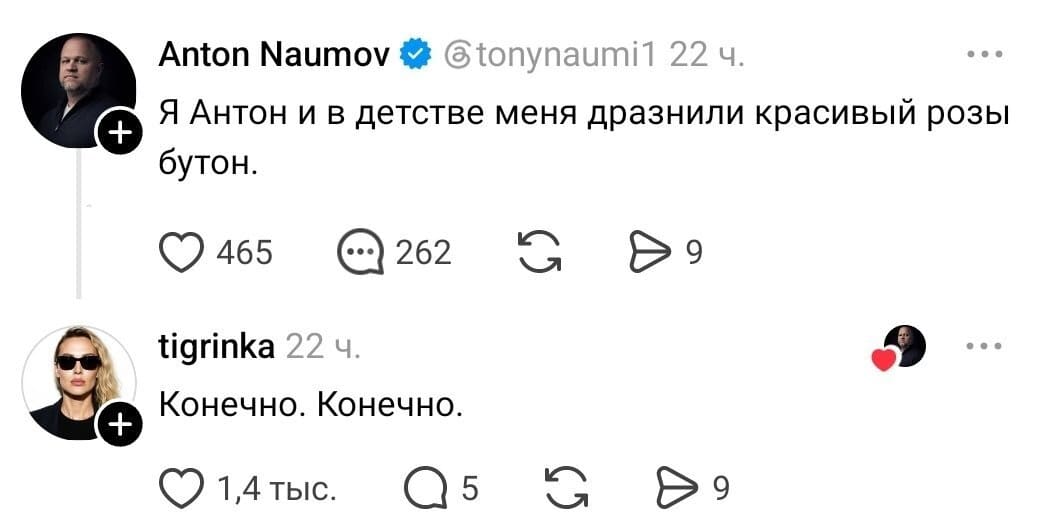 Anton Naumov @tonynaumi1 22 ч.
— Я Антон и в детстве меня дразнили красивый розы бутон.
❤️ 465 💬 262 🔁 9

Tigrinka 22 ч.
— Конечно. Конечно.
❤️ 1,4 тыс. 💬 5 🔁 9

На картинке: мужчина в тёмном костюме на аватарке и блондинка в солнечных очках, которая ставит лайк с невозмутимым лицом.