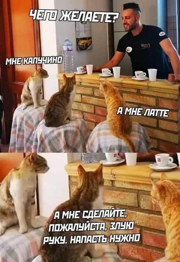 **ЧЕГО ЖЕЛАЕТЕ?**
— МНЕ КАПУЧИНО.
— А МНЕ ЛАТТЕ.
— А МНЕ СДЕЛАЙТЕ, ПОЖАЛУЙСТА, ЗЛУЮ РУКУ. НАПАСТЬ НУЖНО!