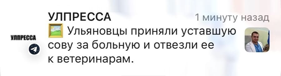 **УЛПРЕССА** — 1 минуту назад
🖼 Ульяновцы приняли уставшую сову за больную и отвезли её к ветеринарам.