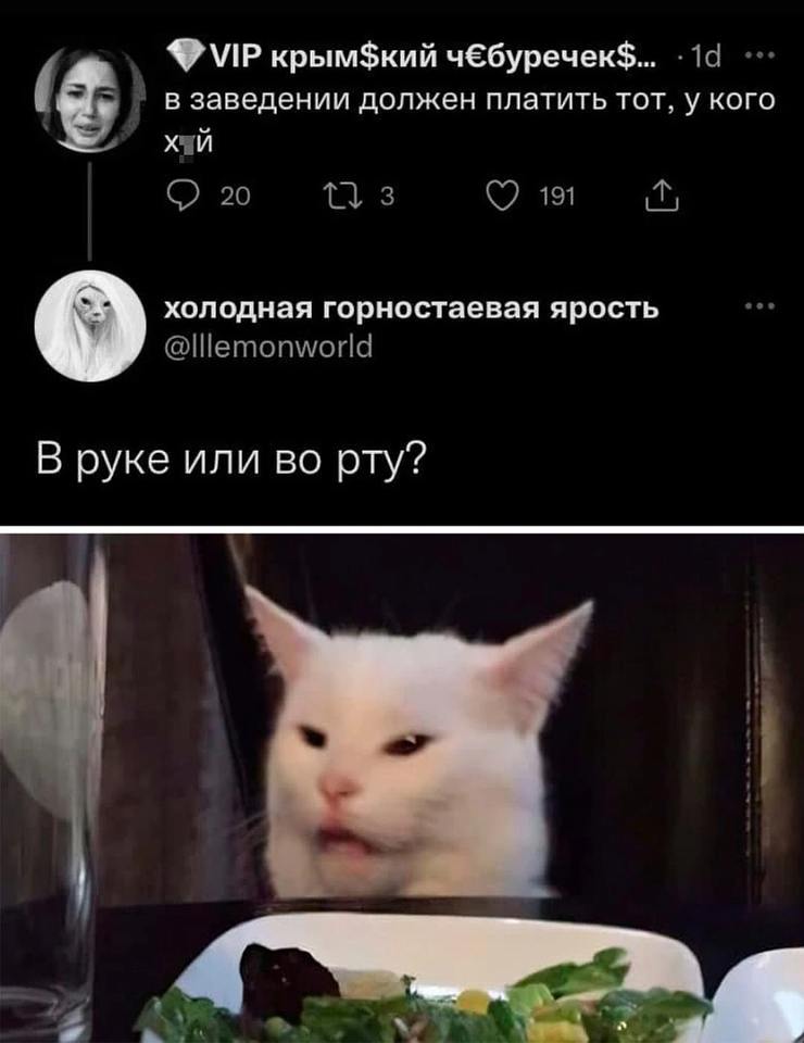 💎 VIP крымский чёбуречек. · 1d
В заведении должен платить тот, у кого йух
💬 20 🔁 3 ❤️ 191 ⬆️

Холодная горностаевая ярость
@Illemonworld
В руке или во рту?

На картинке: белый кот с прищуром смотрит исподлобья, перед ним тарелка с салатом и бокал. На фоне — тёмный интерьер заведения.