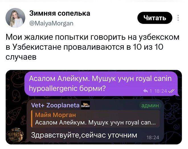 Зимняя сопелька
@MaiyaMorgan
Читать
Мои жалкие попытки говорить на узбекском в Узбекистане проваливаются в 10 из 10 случаев.
Ассалому алайкум. Мушук учун Royal Canin Hypoallergenic борми?
🔁 1 18:24 ✓✓
Vet+ Zooplaneta Закупки | админ
Майя Морган
Ассалому алайкум. Мушук учун Royal Canin.
Здравствуйте, сейчас уточним 18:24 | Иностранцы