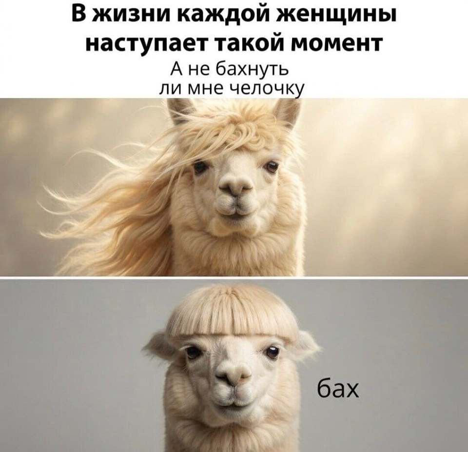 В жизни каждой женщины наступает такой момент: а не бахнуть ли мне челочку?
Бах.