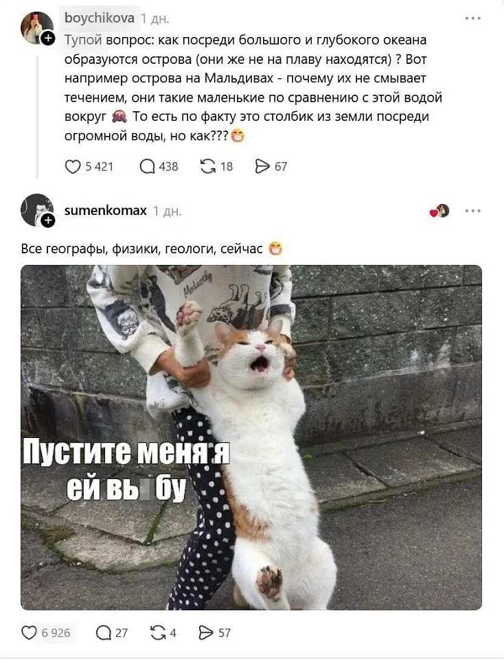 Boychikova 1 дн.
Тупой вопрос: как посреди большого и глубокого океана образуются острова (они же не на плаву находятся)? Вот, например, острова на Мальдивах — почему их не смывает течением, они такие маленькие по сравнению с этой водой вокруг 🥰 То есть, по факту, это столбик из земли посреди огромной воды, но как? 😍
❤️ 5 421 💬 438 🔁 18 ▶️ 67

Sumenkomax 1 дн.
Все географы, физики, геологи, сейчас 😍
Пустите меня, я ей вь▮бу
❤️ 6 926 💬 27 🔁 4 ▶️ 57