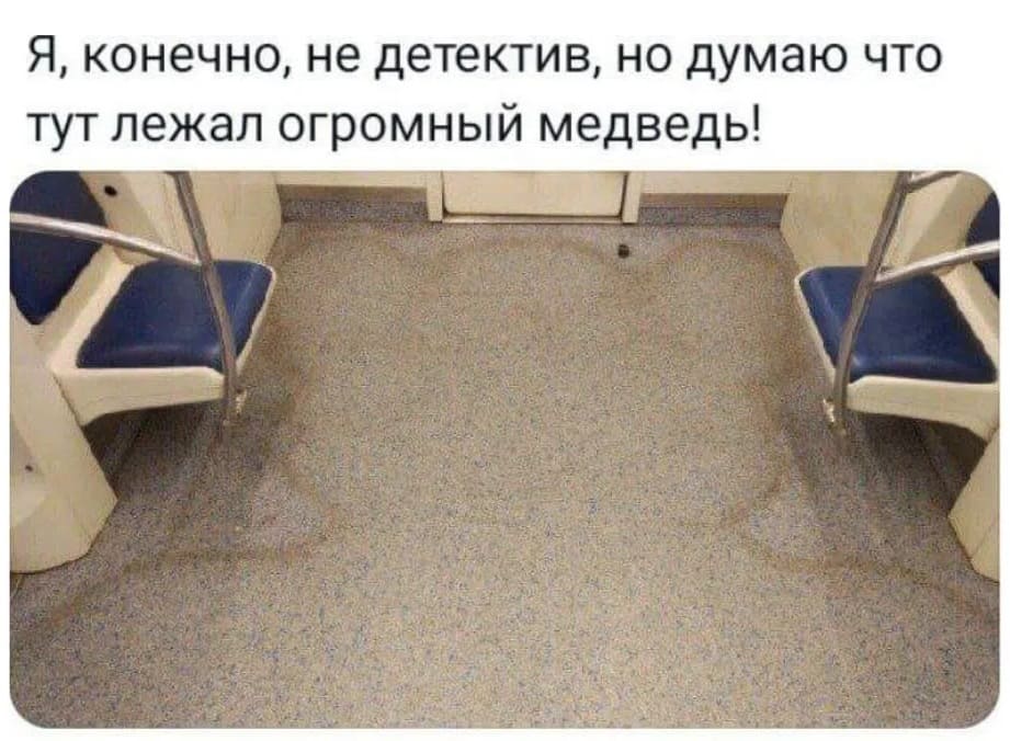 Я, конечно, не детектив, но думаю, что тут лежал огромный медведь!

На картинке: салон метро, синие сиденья и поручни, на ковровом полу вмятина от лежавшего животного. | Чёрный юмор