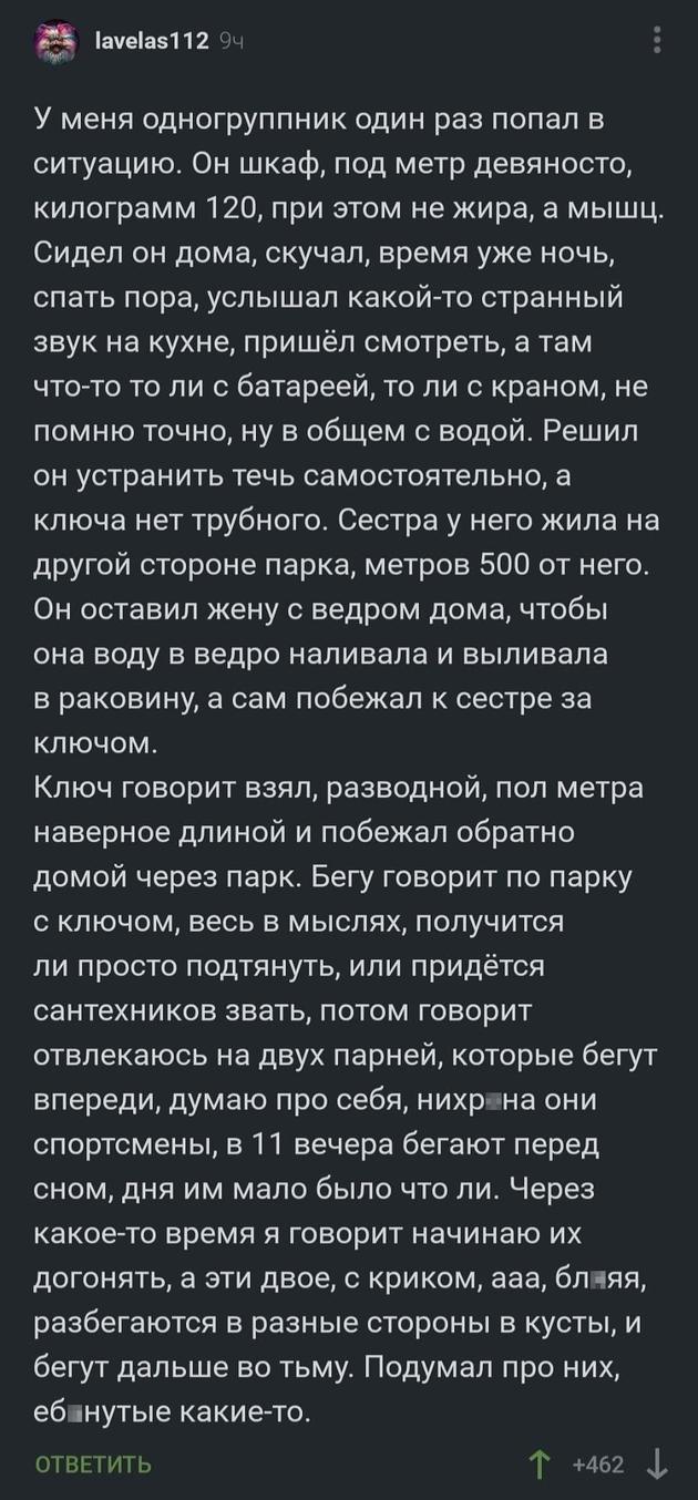 У меня одногруппник один раз попал в ситуацию. Он шкаф, под метр девяносто, килограмм 120, при этом не жира, а мышц. Сидел он дома, скучал, время уже ночь, спать пора, услышал какой-то странный звук на кухне, пришёл смотреть, а там что-то то ли с батареей, то ли с краном, не помню точно, ну в общем с водой. Решил он устранить течь самостоятельно, а ключа нет трубного. Сестра у него жила на другой стороне парка, метров 500 от него. Он оставил жену с ведром дома, чтобы она воду в ведро наливала и выливала в раковину, а сам побежал к сестре за ключом. Ключ, говорит, взял, разводной, полметра, наверное, длиной и побежал обратно домой через парк. Бегу, говорит, по парку с ключом, весь в мыслях, получится ли просто подтянуть, или придётся сантехников звать, потом, говорит, отвлекаюсь на двух парней, которые бегут впереди, думаю про себя, нихр▮на, они спортсмены, в 11 вечера бегают перед сном, дня им мало было что ли. Через какое-то время, я, говорит, начинаю их догонять, а эти двое, с криком: «Ааа, бл▮яя!», разбегаются в разные стороны в кусты и бегут дальше во тьму. Подумал про них, еб▮нутые какие-то.