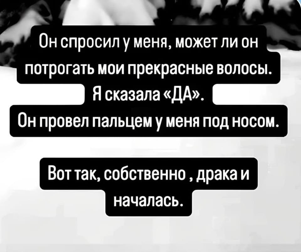 Он спросил у меня, может ли он потрогать мои прекрасные волосы. Я сказала «ДА». Он провел пальцем у меня под носом. Вот так, собственно, драка и началась.

Юмористическая картинка с текстом, оформленная в виде диалога. На черном фоне белыми буквами написана история. Сначала «Он спросил у меня, может ли он потрогать мои прекрасные волосы. Я сказала «ДА».» Затем, в следующем «сообщении»: «Он провел пальцем у меня под носом.» И в завершение, отдельным блоком: «Вот так, собственно, драка и началась.». Фон серый, размытый, имитирует фон мессенджера.