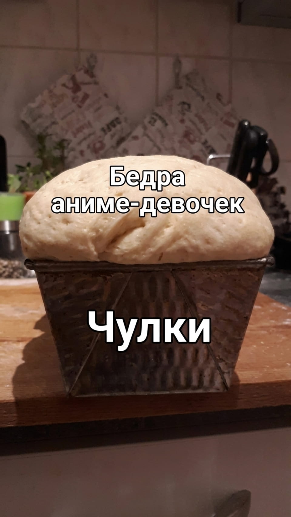 Бедра аниме-девочек Чулки

Мем с хлебом, вылезшим из формы, напоминающей чулки. На хлебе и форме написаны слова «Бедра аниме-девочек» и «Чулки». Фон — кухонный интерьер с кафельной стеной. Создается забавная ассоциация между выпечкой и анимацией.