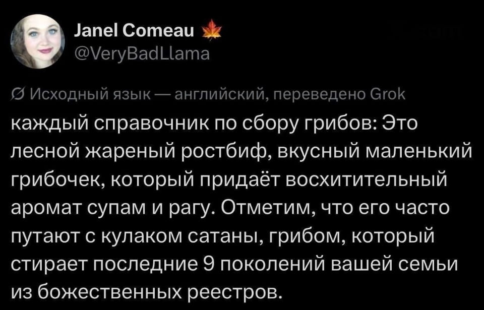 Janel Comeau @VeryBadLlama каждый справочник по сбору грибов: Это лесной жареный ростбиф, вкусный маленький грибочек, который придаёт восхитительный аромат супам и рагу. Отметим, что его часто путают с кулаком сатаны, грибом, который стирает последние 9 поколений вашей семьи из божественных реестров. 

 Это скриншот социальной сети X, где пользователь Janel Comeau @VeryBadLlama делится забавной информацией о грибах. Текст переведён с английского и описывает два типа грибов: Украшек и ядро Ядер, акцентирует внимание на их внешнем сходстве и разницу между безопасным и опасным грибом. Сравнивая вкус и аромат, автор добавляет юмористический штрих, упоминая последствия ошибки в выборе гриба.