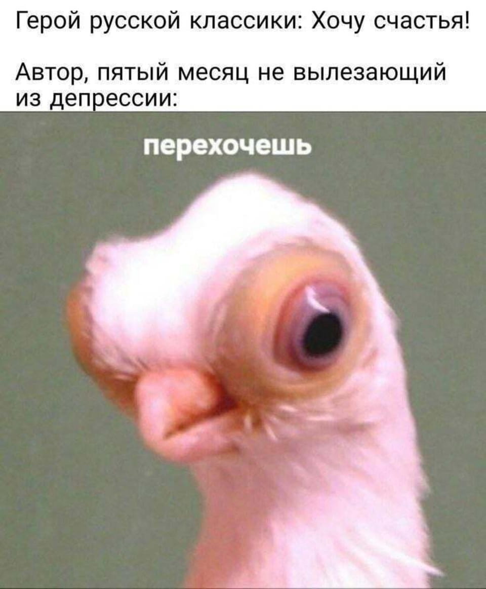 Герой русской классики: Хочу счастья! Автор, пятый месяц не вылезающий из депрессии: перехочешь

Мем с фотографией курицы, её глаз широко открыт, словно в удивлении. Надпись сверху гласит: «Герой русской классики: Хочу счастья!». Ниже следует комментарий: «Автор, пятый месяц не вылезающий из депрессии: перехочешь». Фон серый, выделение на реакции курицы создаёт юмористический контраст между ожиданием и реальностью.