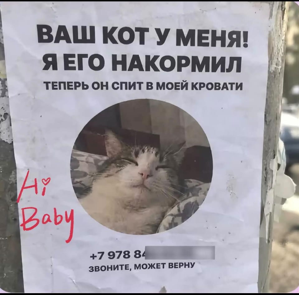 ВАШ КОТ У МЕНЯ! Я ЕГО НАКОРМИЛ ТЕПЕРЬ ОН СПИТ В МОЕЙ КРОВАТИ Hi Baby ЗВОНИТЕ, МОЖЕТ ВЕРНУ <br /><br /> Это мем-объявление, приклеенное к столбу, стилизованное под реальное, но с юмористическим содержанием. На белом листе чёрным крупным шрифтом написано: «ВАШ КОТ У МЕНЯ! Я ЕГО НАКОРМИЛ ТЕПЕРЬ ОН СПИТ В МОЕЙ КРОВАТИ». Ниже, в центре, круглое фото довольного, спящего на подушке полосатого кота. Слева от фото красной ручкой написано «Hi Baby ❤️». Внизу объявления указан номер телефона: «+7 978 84XXXXX ЗВОНИТЕ, МОЖЕТ ВЕРНУ».