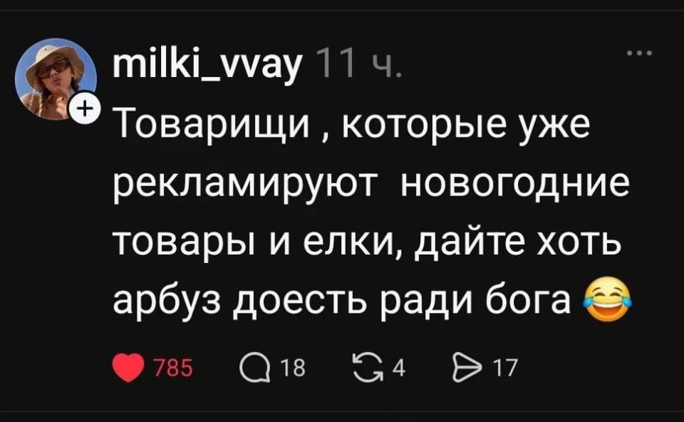 — Товарищи, которые уже рекламируют новогодние товары и елки, дайте хоть арбуз доесть ради бога. 😂

Описание картинки:
Комментарий о рекламе новогодних товаров в разгар лета.