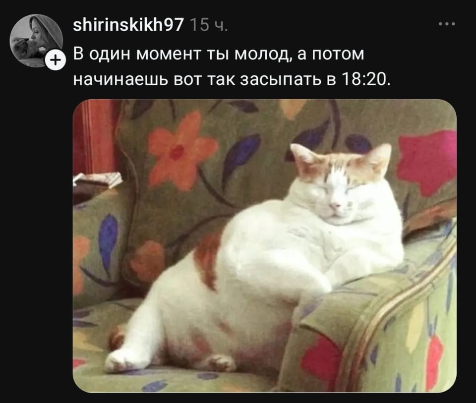 — В один момент ты молод, а потом начинаешь вот так засыпать в 18:20.

Описание картинки:
Кот, уютно устроившись на диване, засыпает в 18:20.