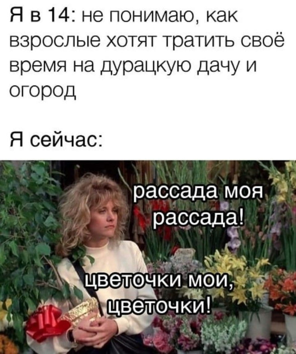 Я в 14: не понимаю, как взрослые хотят тратить своё время на дурацкую дачу и огород.
— Я сейчас: рассада моя рассада! Цветочки мои, цветочки!

Описание картинки:
Кадр из фильма с девушкой, держащей цветы и рассаду.