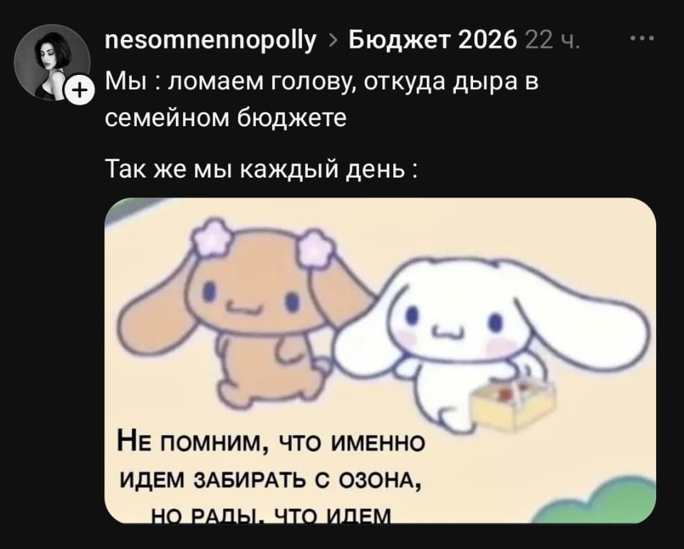 — Мы: ломаем голову, откуда дыра в семейном бюджете. Так же мы каждый день: Не помним, что именно идем забирать с озона, но рады, что идем.

Описание картинки:
С милыми мультяшными зайцами, обсуждающими свои финансовые проблемы.