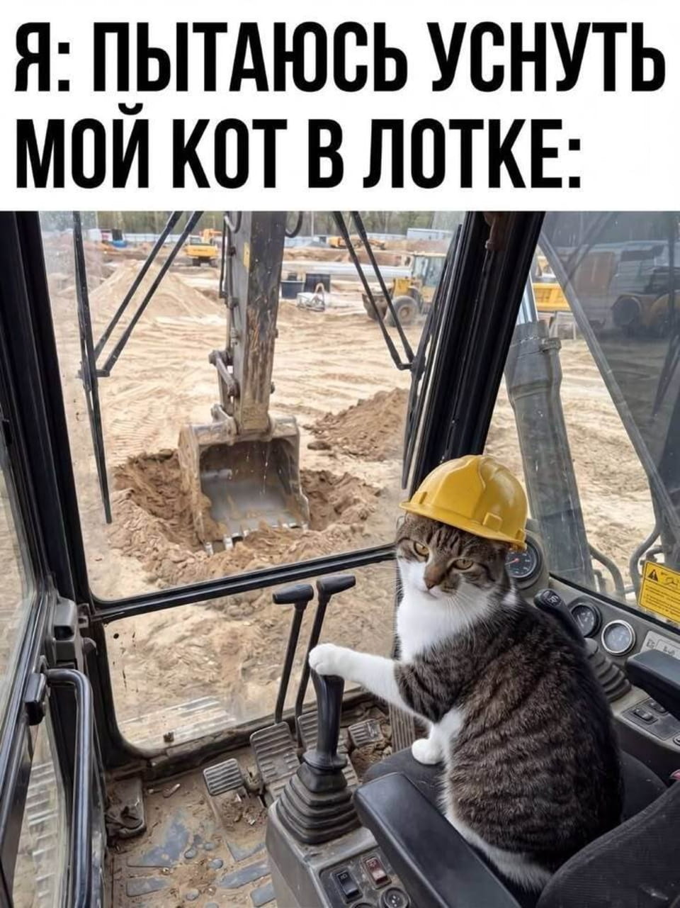 Я: Пытаюсь уснуть. Мой кот в лотке

Описание картинки:
Кот в строительной каске сидит в кабине экскаватора.