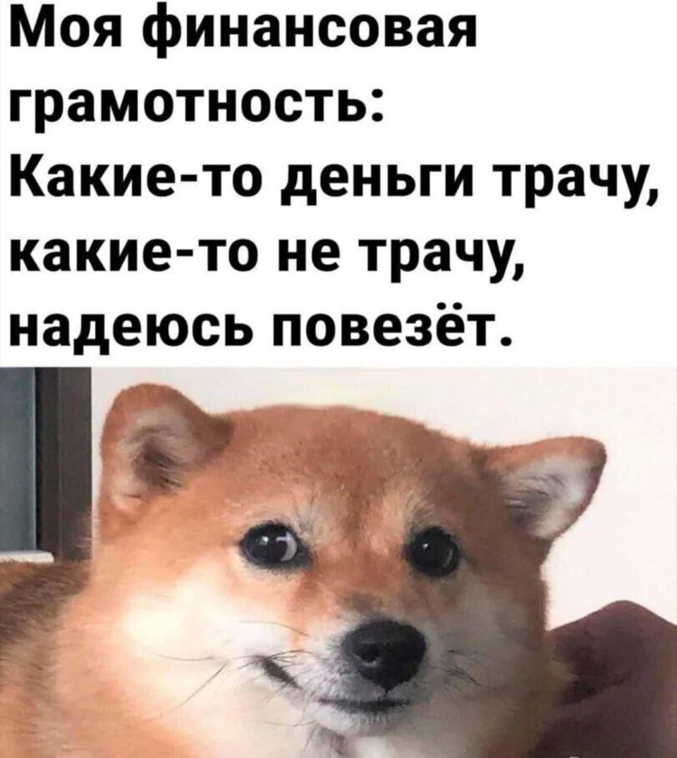 — Моя финансовая грамотность: Какие-то деньги трачу, какие-то не трачу, надеюсь повезёт.

Описание картинки:
Собака с хитрым выражением лица на фоне текста о финансах. | Продавец | Покупатель