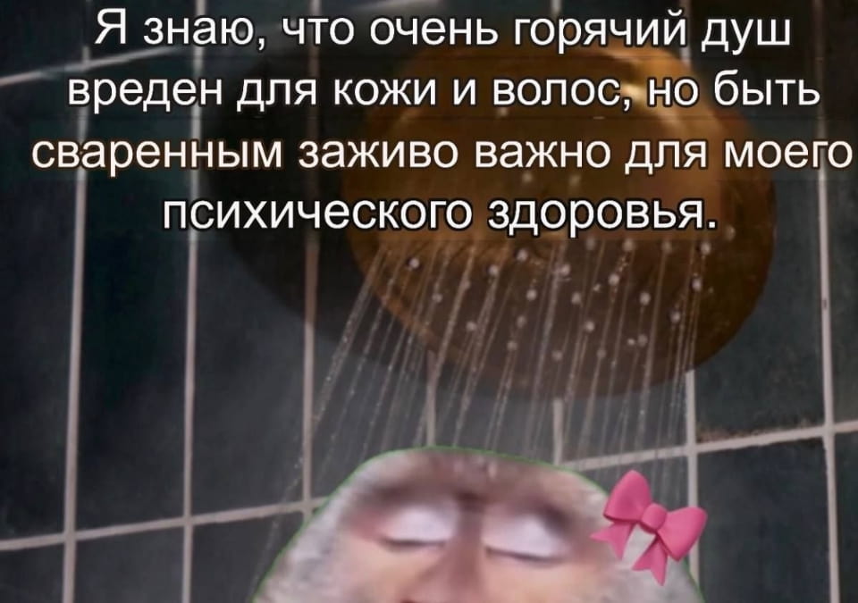 — Я знаю, что очень горячий душ вреден для кожи и волос, но быть сваренным живым важно для моего психического здоровья.

Описание картинки:
Человек принимает горячий душ, несмотря на вред для кожи.