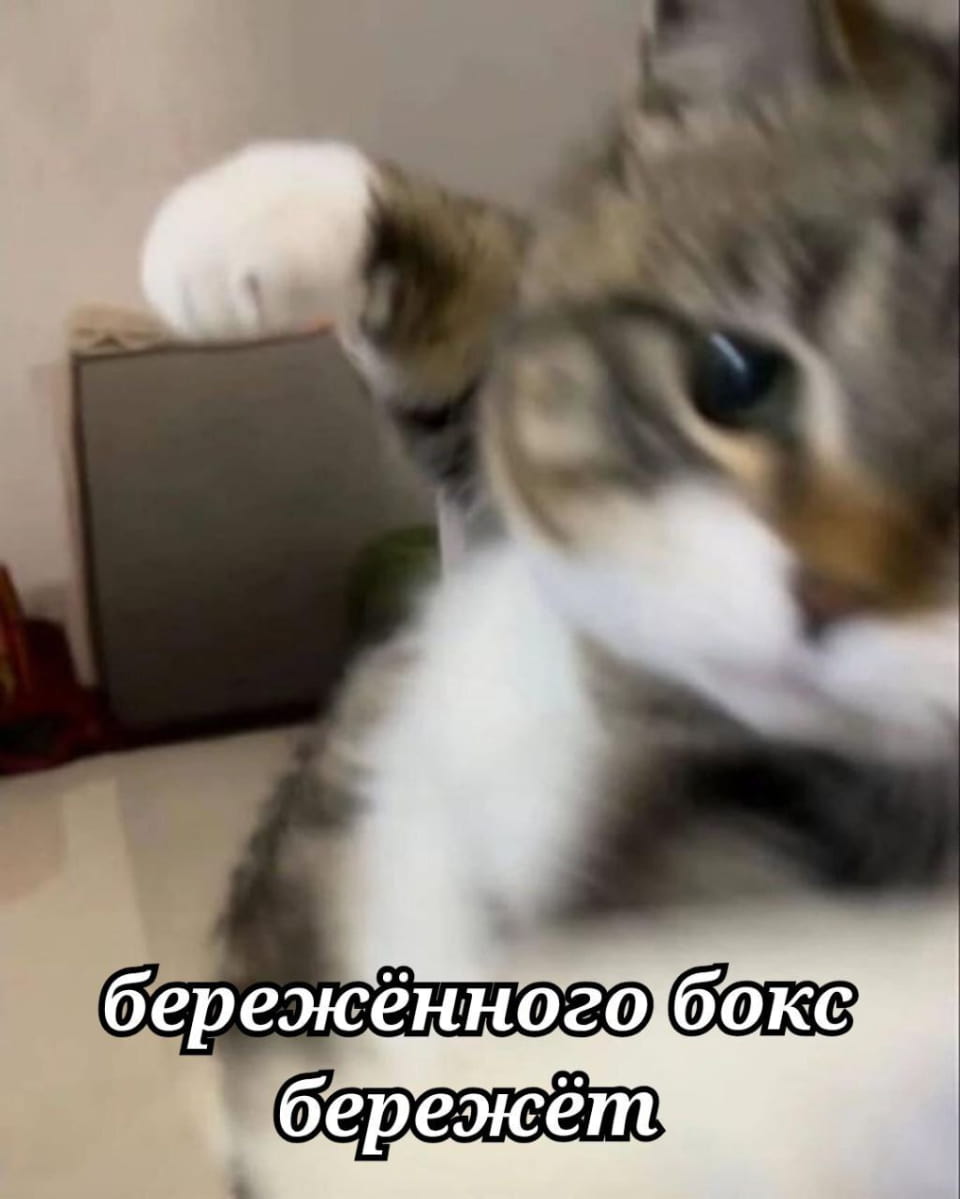 Бережённого бокс бережёт

Описание картинки:
Кот с поднятой лапой на фоне домашнего интерьера.