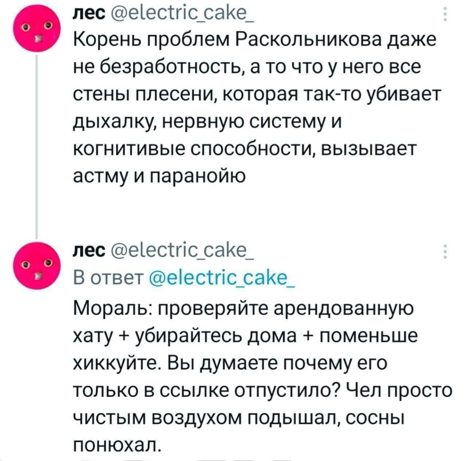 Корень проблем Раскольникова даже не безработность, а то что у него все стены плесени, которая так-то убивает дыхалку, нервную систему и когнитивные способности, вызывает астму и параною.
— Мораль: проверяйте арендуемую хату + убирайтесь дома + поменьше хиккуйте. Вы думаете почему его только в ссылке отпустило? Чел просто чистым воздухом подышал, сосны понюхал.

Описание картинки:
Обсуждение проблем Раскольникова и влияние плесени на здоровье.
