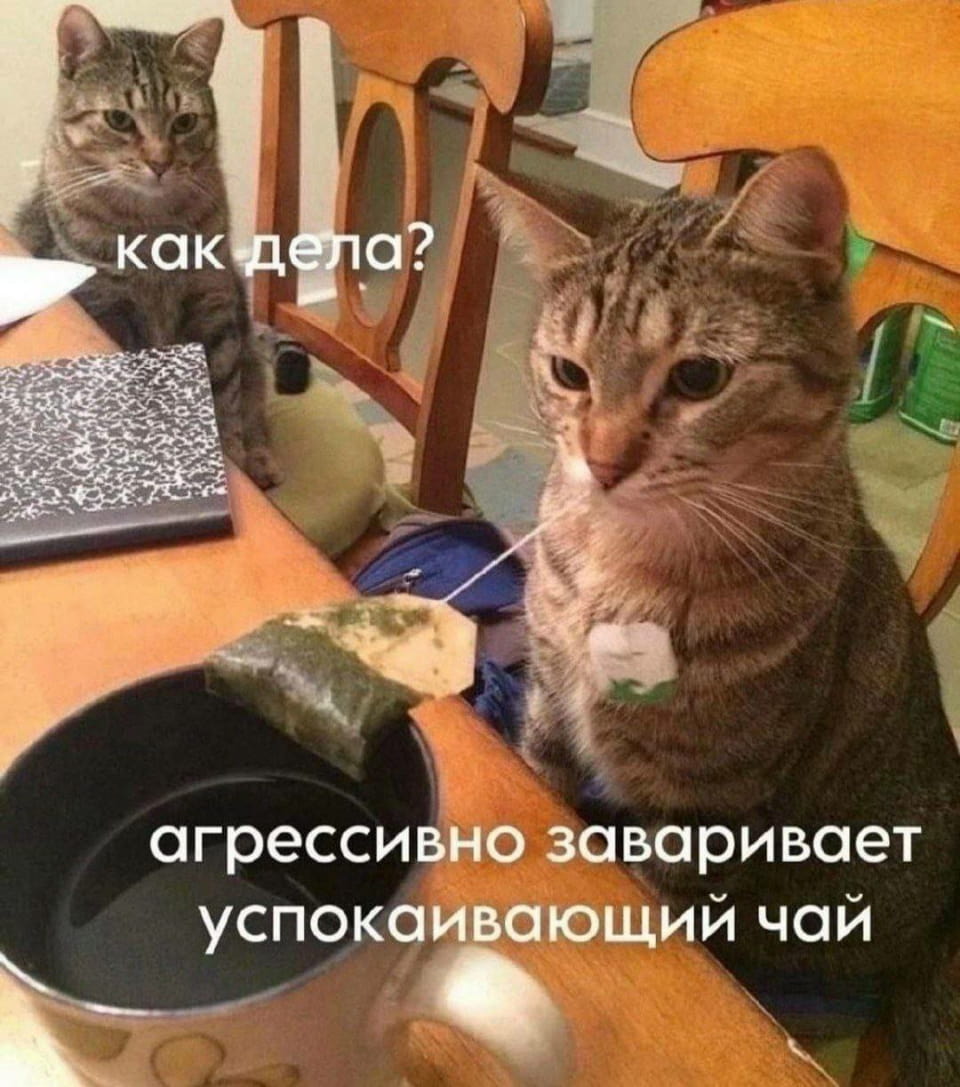— Как дела? 
— Агрессивно заваривает успокаивающий чай. 

Описание картинки: 
Кот сидит за столом и заваривает чай, другой кот наблюдает.