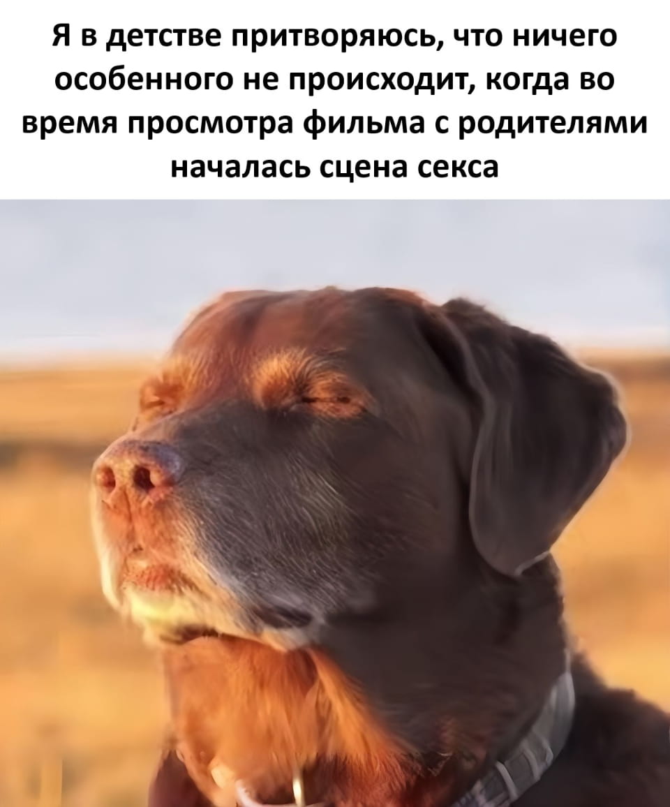 — Я в детстве притворяюсь, что ничего особенного не происходит, когда во время просмотра фильма с родителями началась сцена секса.

Описание картинки:
Собака с закрытыми глазами на фоне природы.