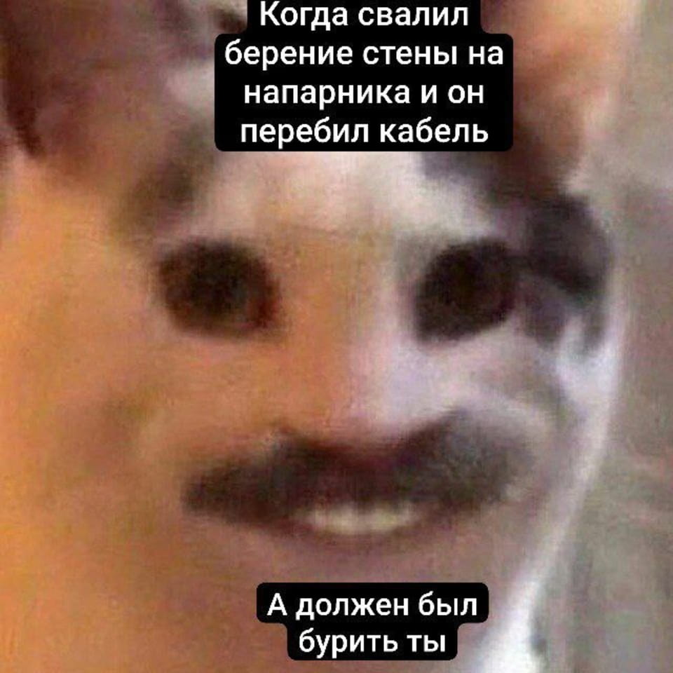 Когда свалил бурение стены на напарника и он перебил кабель. А должен был бурить ты.

Описание картинки:
С котом, на которой текст о ремонте и его последствиях.